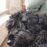 Libby Higgins - @elizabethjanehiggins - Instagram