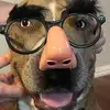 Libby Higgins - @libby.higgins1 - TikTok