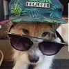 Libbyyjacobss - @libbyyjacobsss - TikTok
