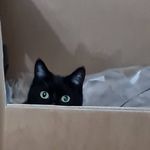 Libby Jansen - @libbysretirementadventures - Instagram