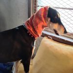 Libby Katz - @katzlibby - Instagram