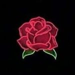 Libby R. Katz - @8rose.in.bloom8 - Instagram