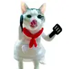waffles - @libbycatz - TikTok