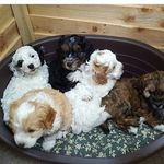 Libby kent - @libbykent5051 - Instagram