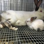 Libby - @libby_kent68 - Instagram