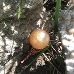 Libby Kramer - @kramerlib - Instagram
