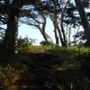 loganxlibby08 - @loganxlibby08 - TikTok