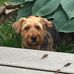 Libby Long - Facebook
