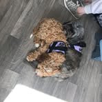 Libby Lowery - Facebook