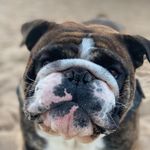 Libby Lowery - @littlelibby2012 - Instagram