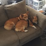 Libby Mayer - @libmayer - Instagram