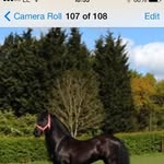 Libby Mayer - @libbymayer1x - Instagram