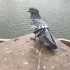 Libby Mayers - @libby.mayers - TikTok