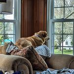 Lori Mays - @libby.mays - Instagram