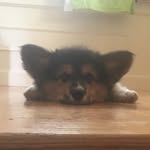 Leo Libby and Jake McBride - @adventures.with.jake.and.leo - Instagram