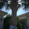 libby_meyer17 - @libby_meyer17 - TikTok