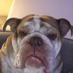 Libby Meyer - Facebook