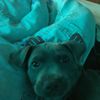 Tik Toker - @.libby.meyer - TikTok