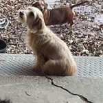 Libby Morrison - @morrisonlibby - Instagram