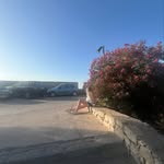 Libby - @libby_palmer - Instagram