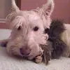 libbypeters67 - @libbypeters67 - TikTok