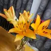 Libby Phillips446 - @libbyphillips446 - TikTok