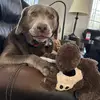 libbae_-_- - @libbyrussell2000 - TikTok