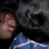 libyserrano - @libyserrano - TikTok