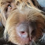 Libby Shaw - @libbylu68 - Instagram