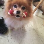 Libby Singleton - Facebook