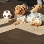 Libby Stevens - @libbystevens58 - Instagram