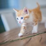 Libby Strong - Facebook