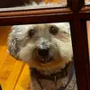 Libby Vazquez - @libbyvazquez_ - TikTok