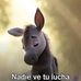 Lobo Vazquez Velazquez - Facebook