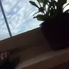 libbywalsh - @libbywalsh63 - TikTok