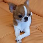 Libby Wheeler - @libbywheeler76 - Instagram