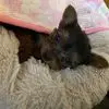 Libby Yorks - @libbyyorks - TikTok