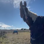 libby x - @libbyyoung03 - Instagram