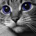 Liberty S Fernanda  Chavez - Facebook