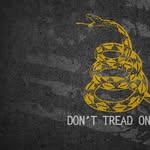 Less Government, More Freedom - @down_south_liberty - Instagram