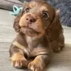 user5956113572902 - @libertysutton587o4l - TikTok