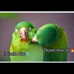 liborio gonzalez - @marquela88 - Instagram