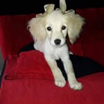 Librada Camacho Celis - @librada_camacho64 - Instagram