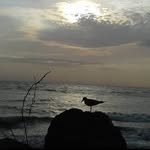 Librada Diaz Baso - @diazbaso - Instagram