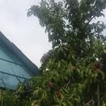 Librada Ramirez - @ufoh_yychf_pi_gpk8_fp - Instagram