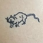 Iris - @lichen_lines - Instagram