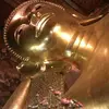 Lichen Lin - @lichen.lin - TikTok