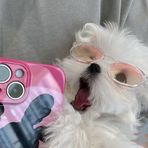 Lucia Lau - Facebook