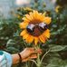 Lida Romanyk - Facebook