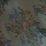 Lidia Becerra - @becerra9503 - Instagram